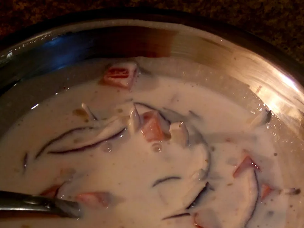 Plain Curd